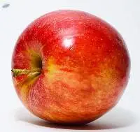 Red Apple