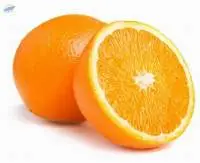 Thomson Orange