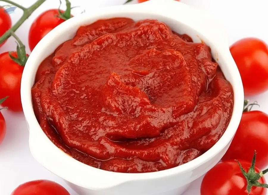 Tomato Paste (Brix 36-38) aseptic