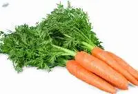 Fresh Carrot