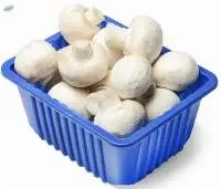 Fresh Mushrooms