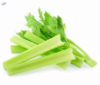 Fresh Celery