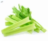 Fresh Celery