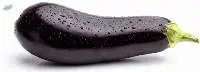 Fresh Eggplants