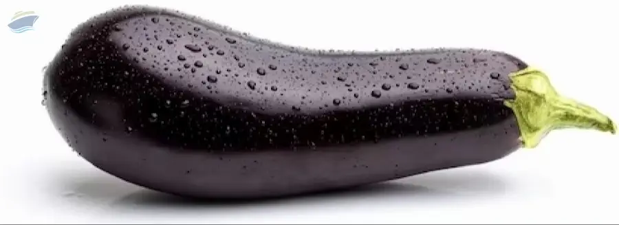 Fresh Eggplants