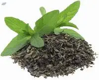 Tea