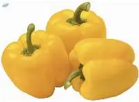 Fresh Yellow Capsicums