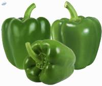 Fresh Green Capsicums