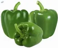 Fresh Green Capsicums