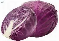 Fresh Red Cabbage