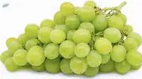 Fresh Green Grapes