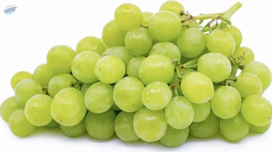 Fresh Green Grapes