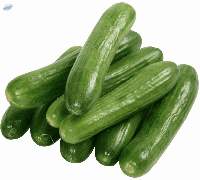 Fresh Cucumbers