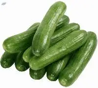 Fresh Cucumbers