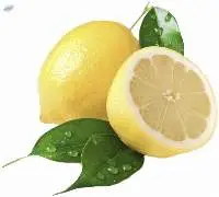 Fresh Sweet Lemons