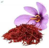 Fresh Saffron