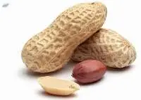 Peanuts