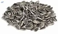 Sunflower Seeds