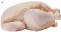 Fresh Chickens