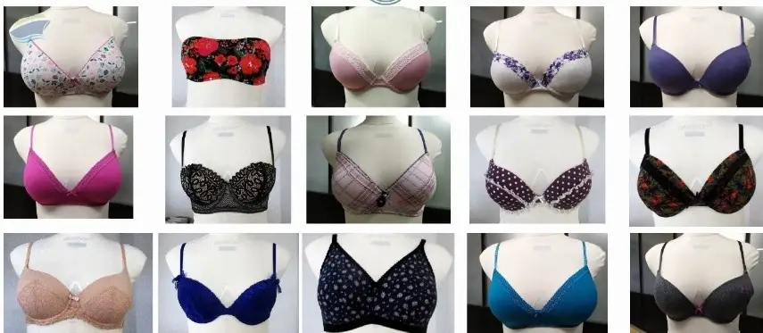 Ladies Wired Bra