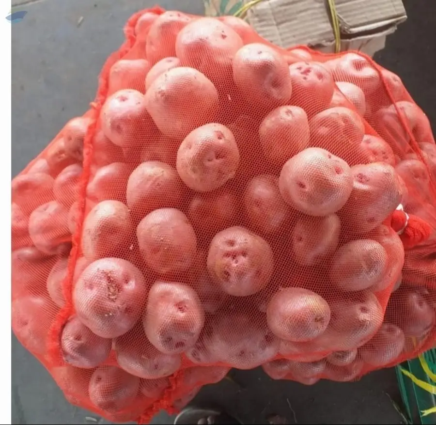 Fresh Vegetables