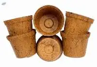 Coir Pots