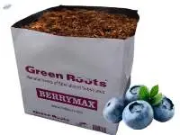 Coir Open-top Bags