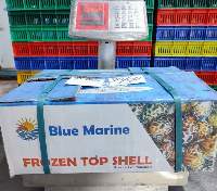 Frozen Cooked Top Shell