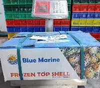 Frozen Cooked Top Shell