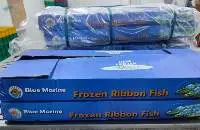 Frozen Ribbon Fish W/R