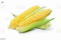 Corn