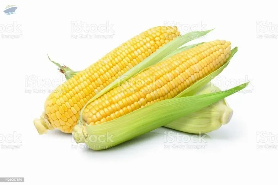 Corn