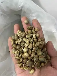 Green Bean Coffee (Robusta & Arabica)