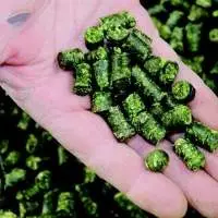 GS-Alfalfa Pellets