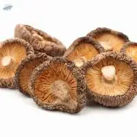 Dried shiitake mushroom