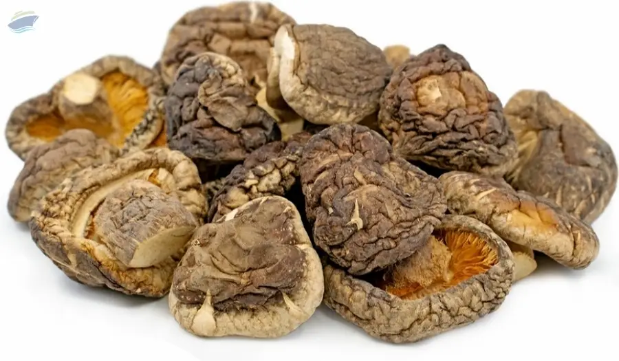 Dried Shiitake Mushroom