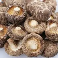 Dried Shiitake Mushroom