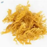 Dried Sea Moss