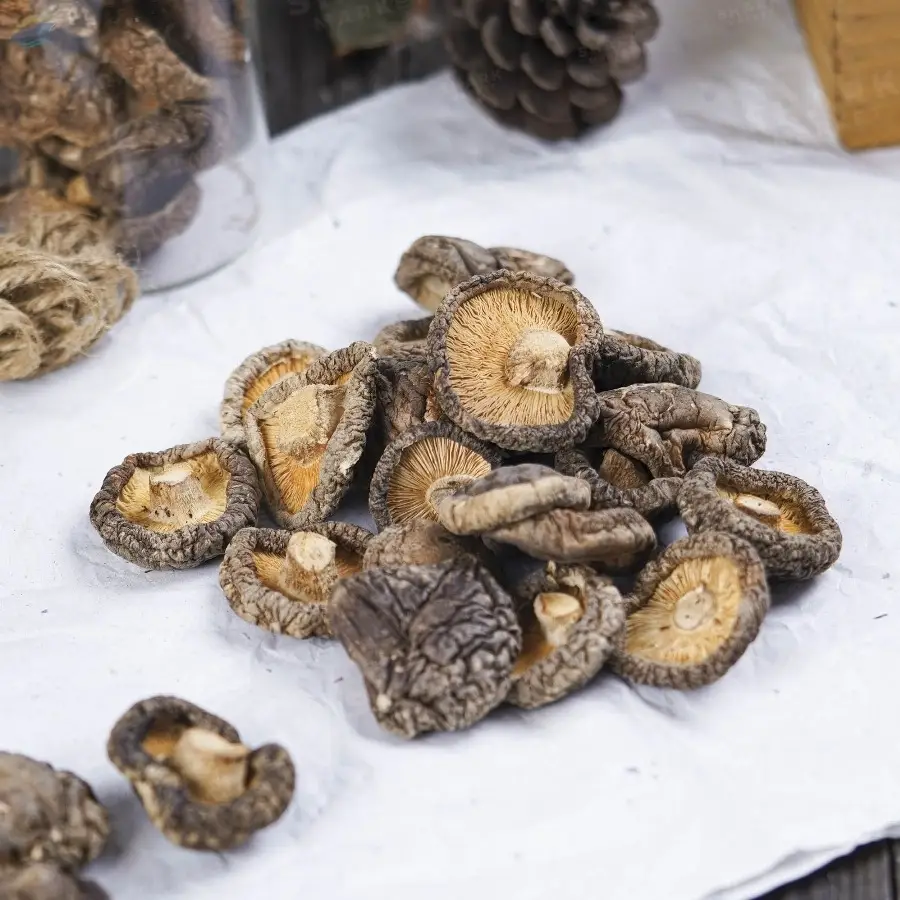 Dried Shiitake Mushroom