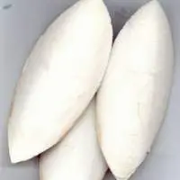 Cuttlefish Bone