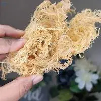 Dried Sea Moss