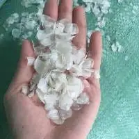 Dried Fish Scale
