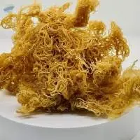 Dried Sea Moss
