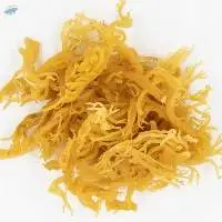 Dried Sea Moss