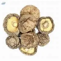 Dried Shiitake Mushroom