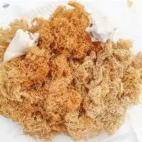 Dried sea moss