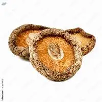 Dried Shiitake Mushroom