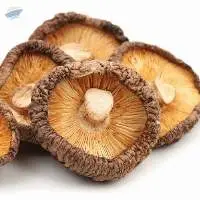 Dried Shiitake Mushroom