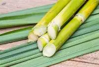 Frozen Sugarcane