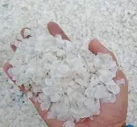 Dried Fish Scale